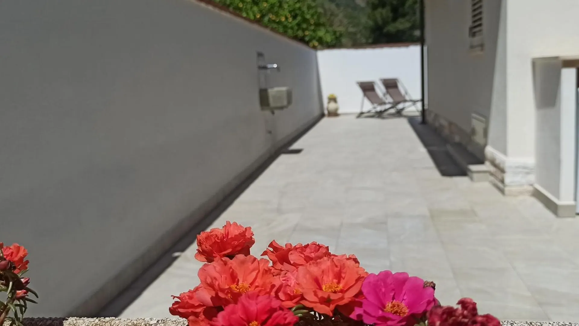 Mediterraneo Rooms Castellammare del Golfo 0*,